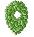 Evergreen Oval Door Hanger