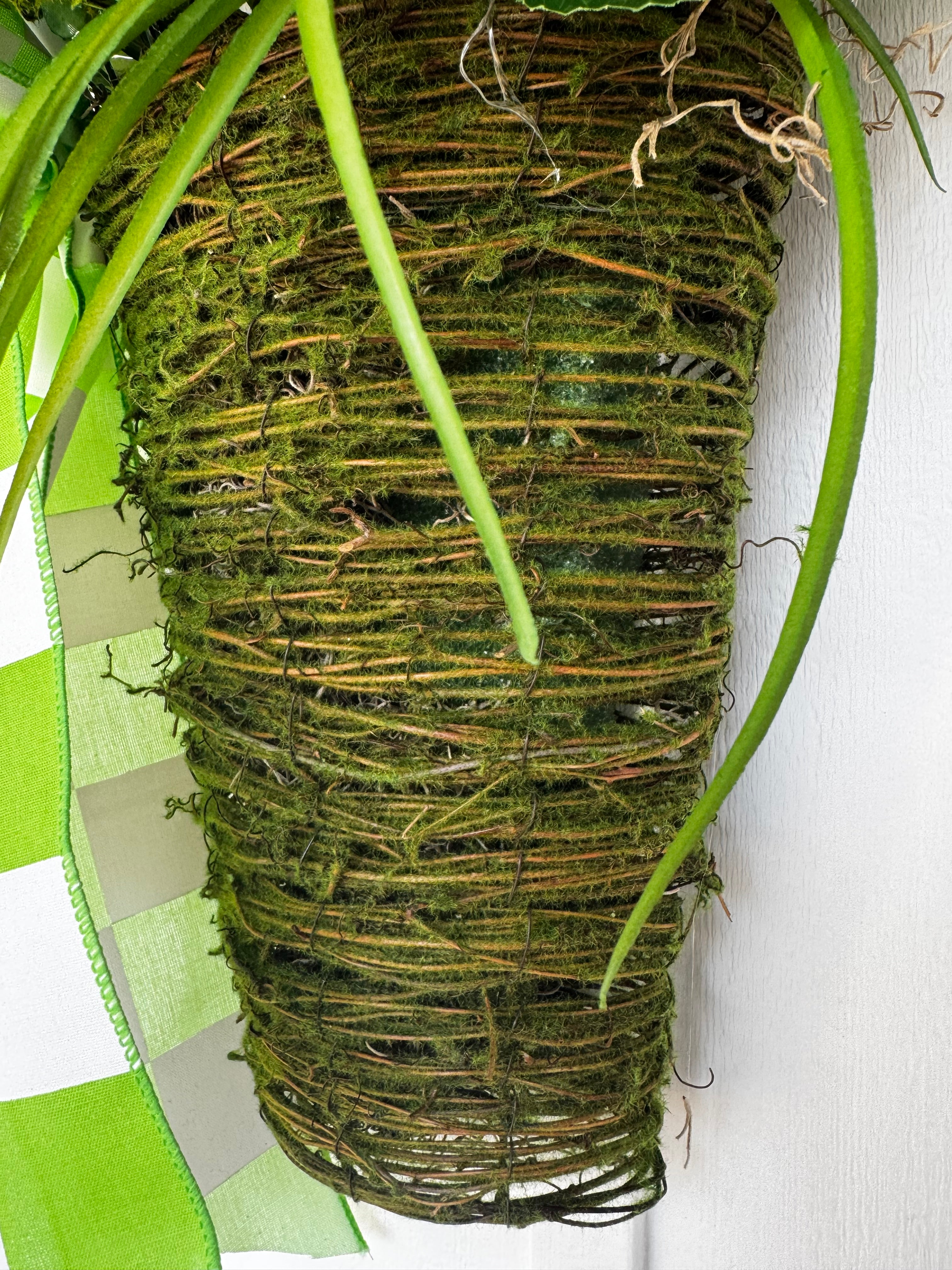Hanging Moss Vase with Geraniums