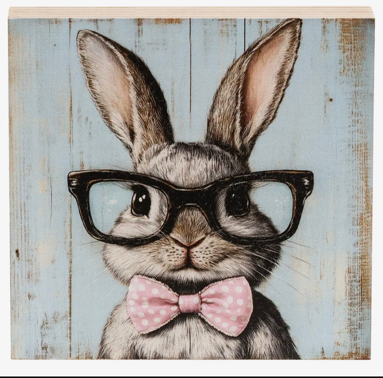 Dapper Bunny in Black Specs
