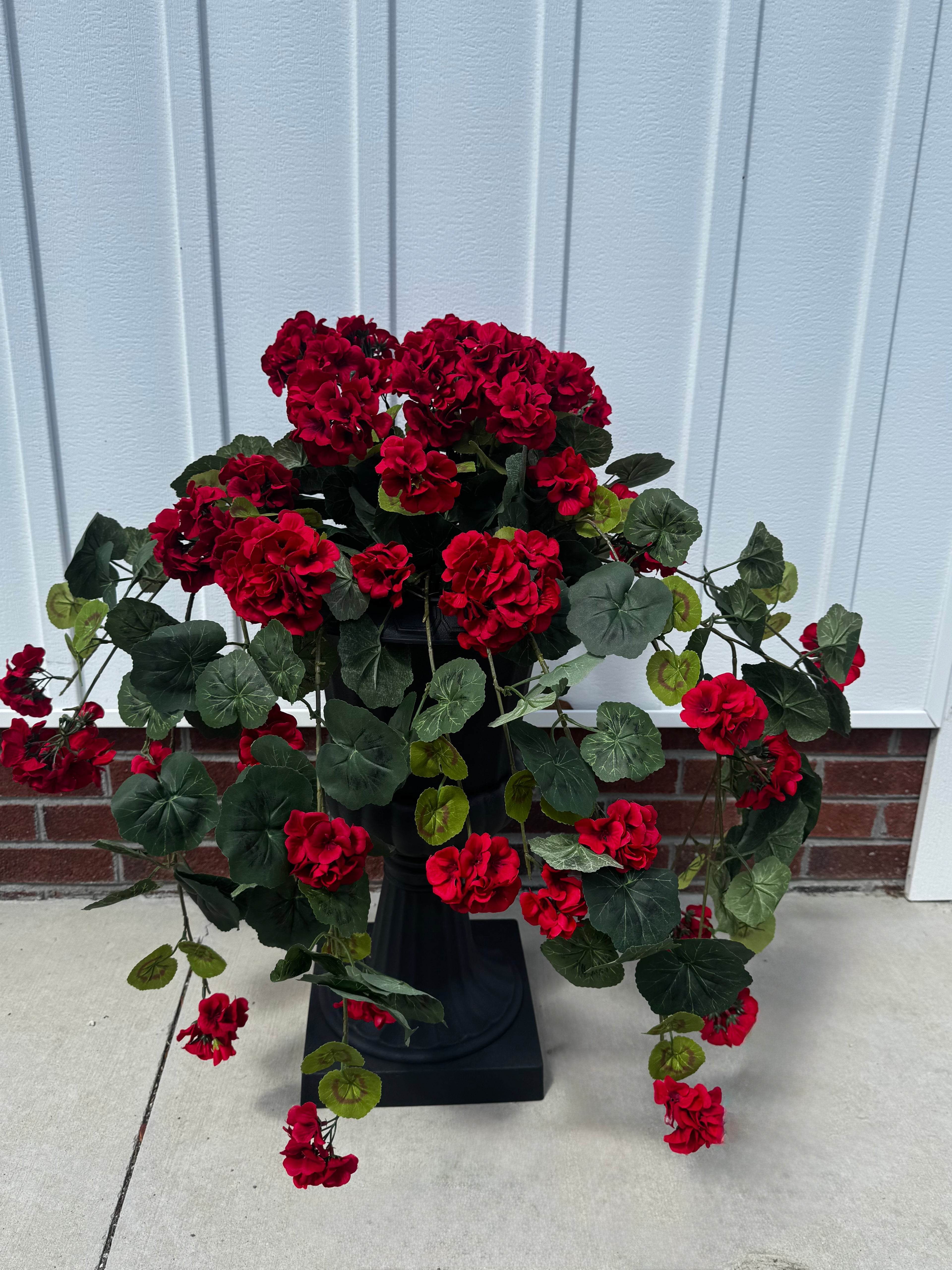 Draping Red Geranium Stem