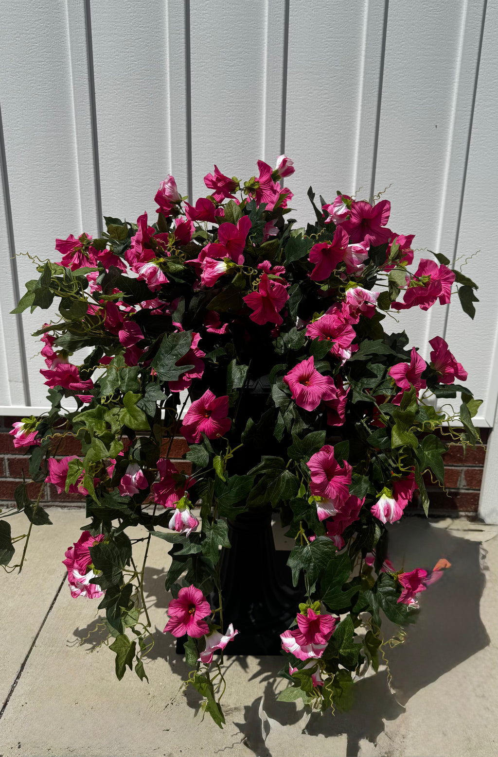 Draping Fuchsia Petunia Bush