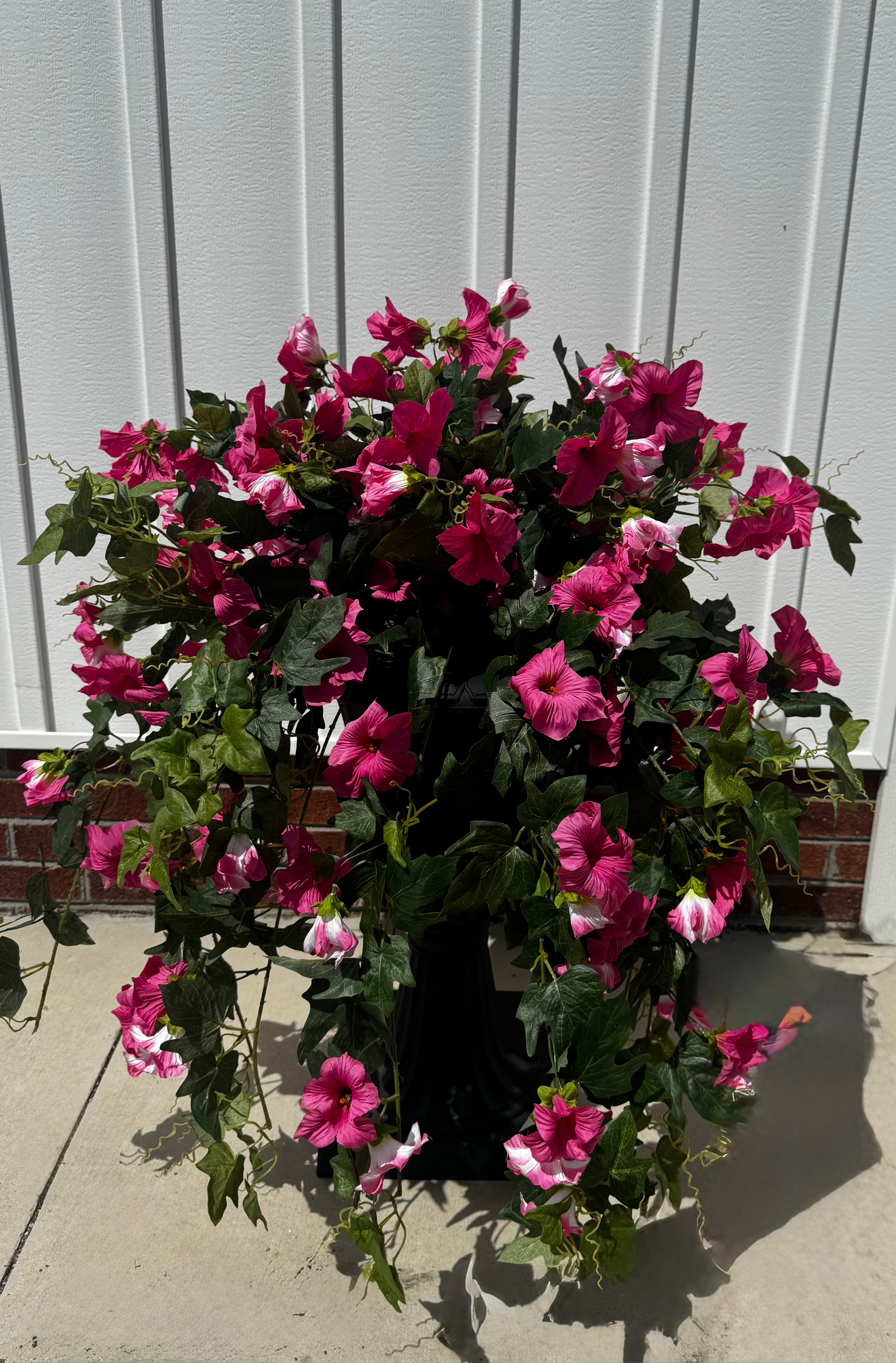 Draping Fuchsia Petunia Bush