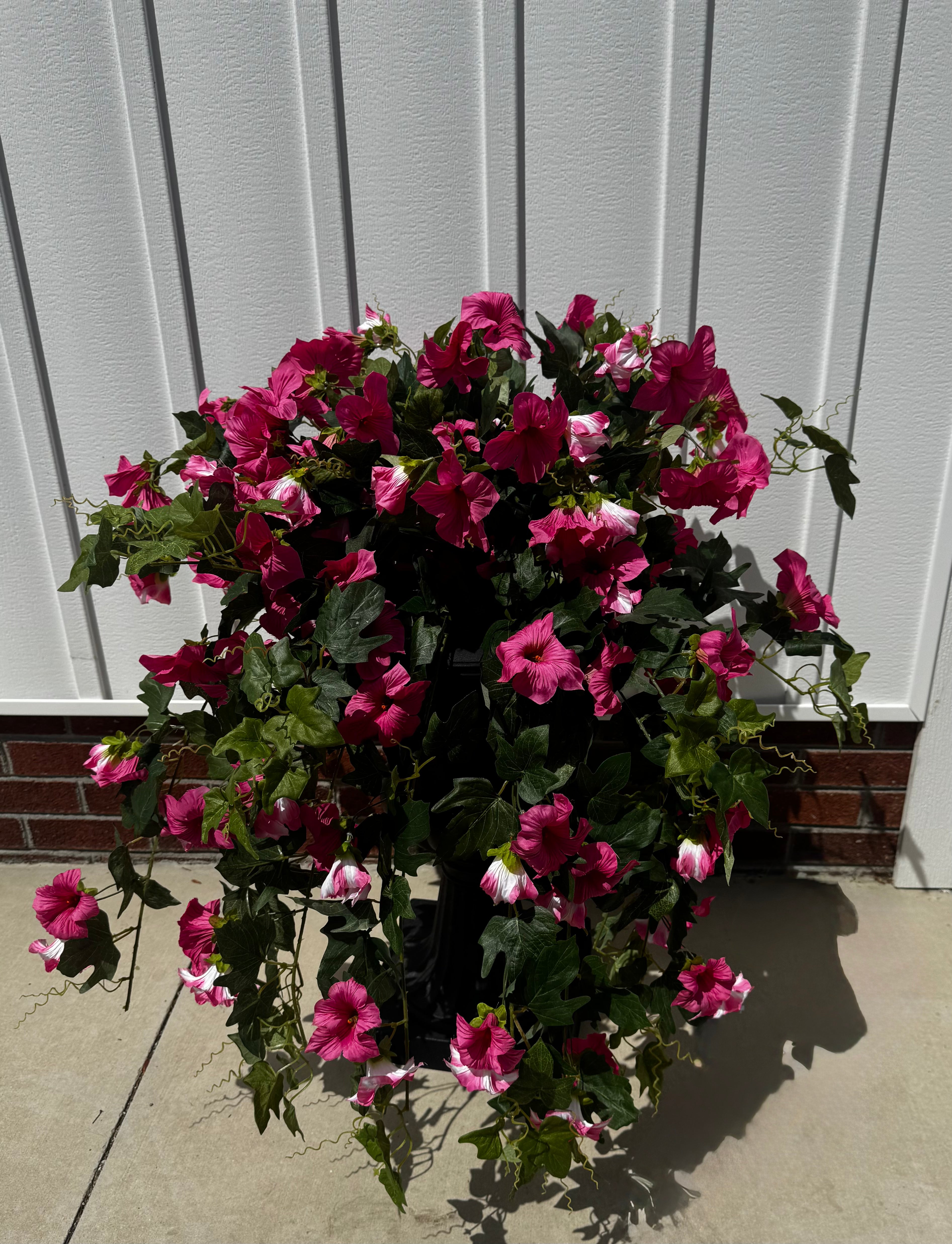 Draping Fuchsia Petunia Bush