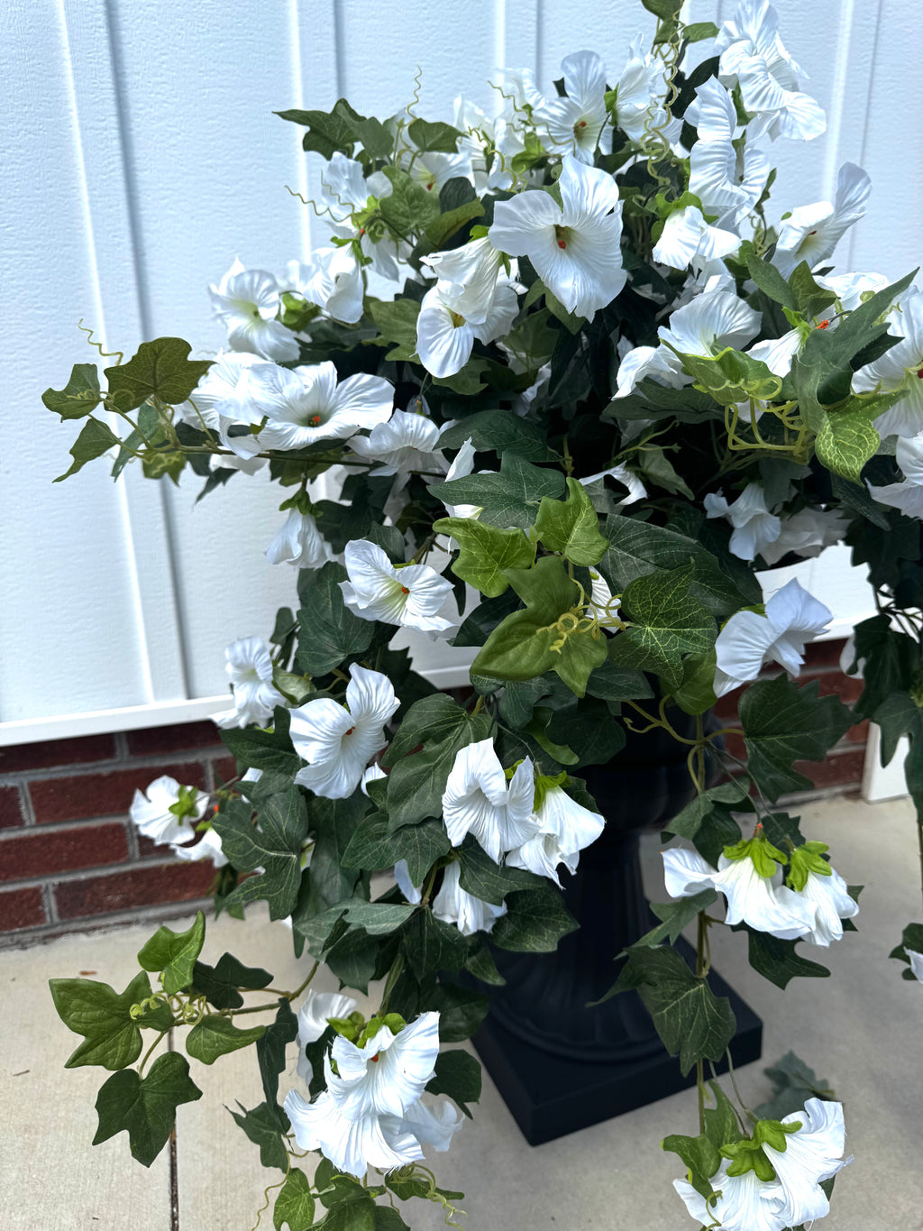 Draping White Petunia Bush
