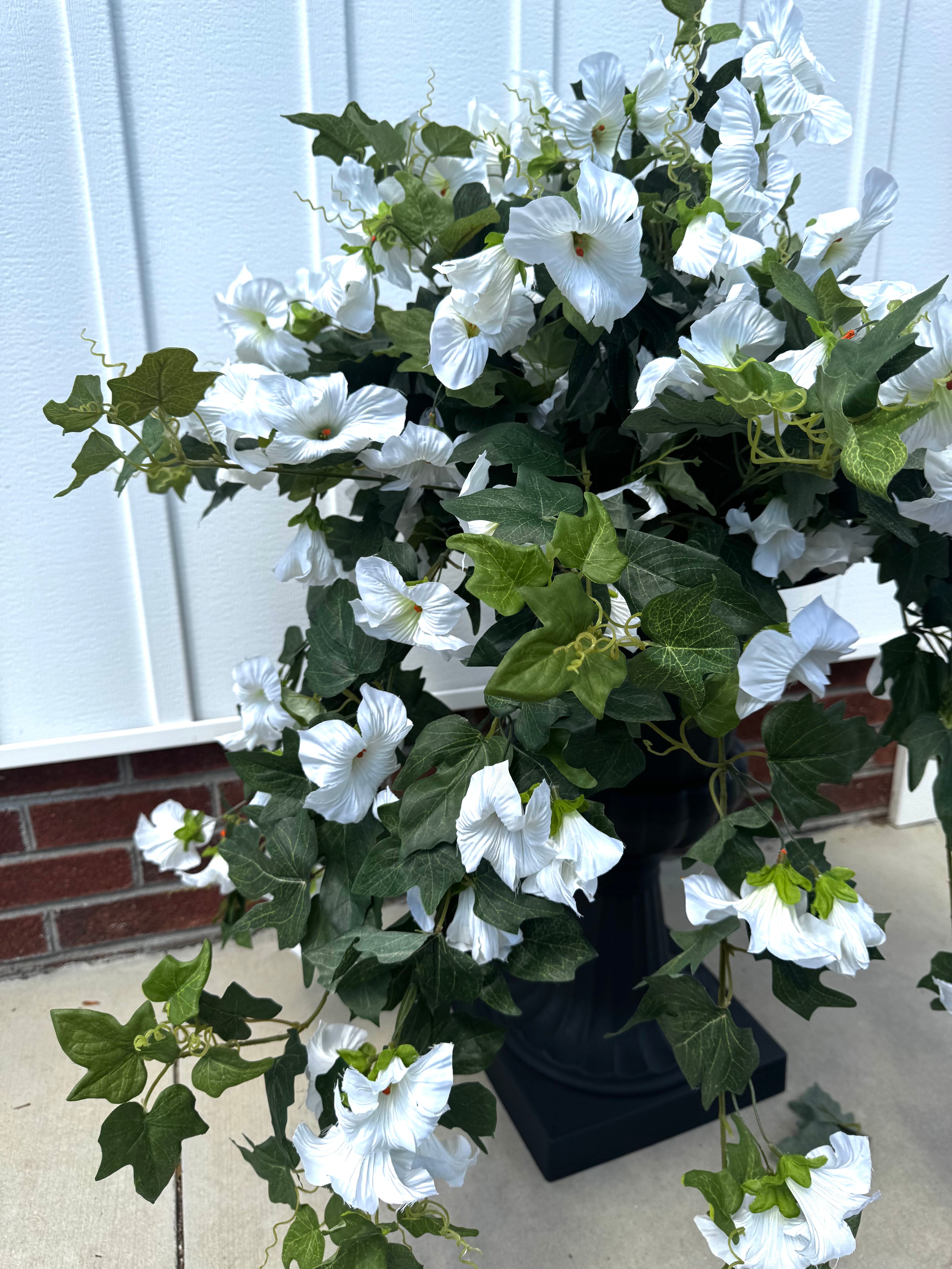 Draping White Petunia Bush