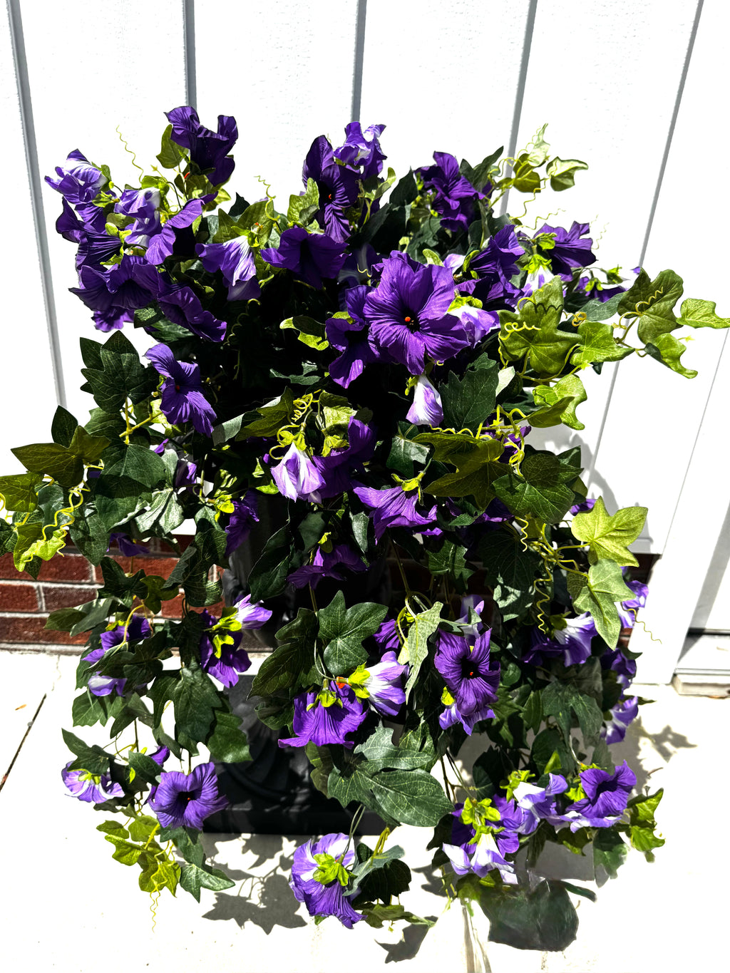 Draping Purple Petunia Bush