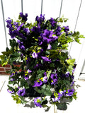 Draping Purple Petunia Bush