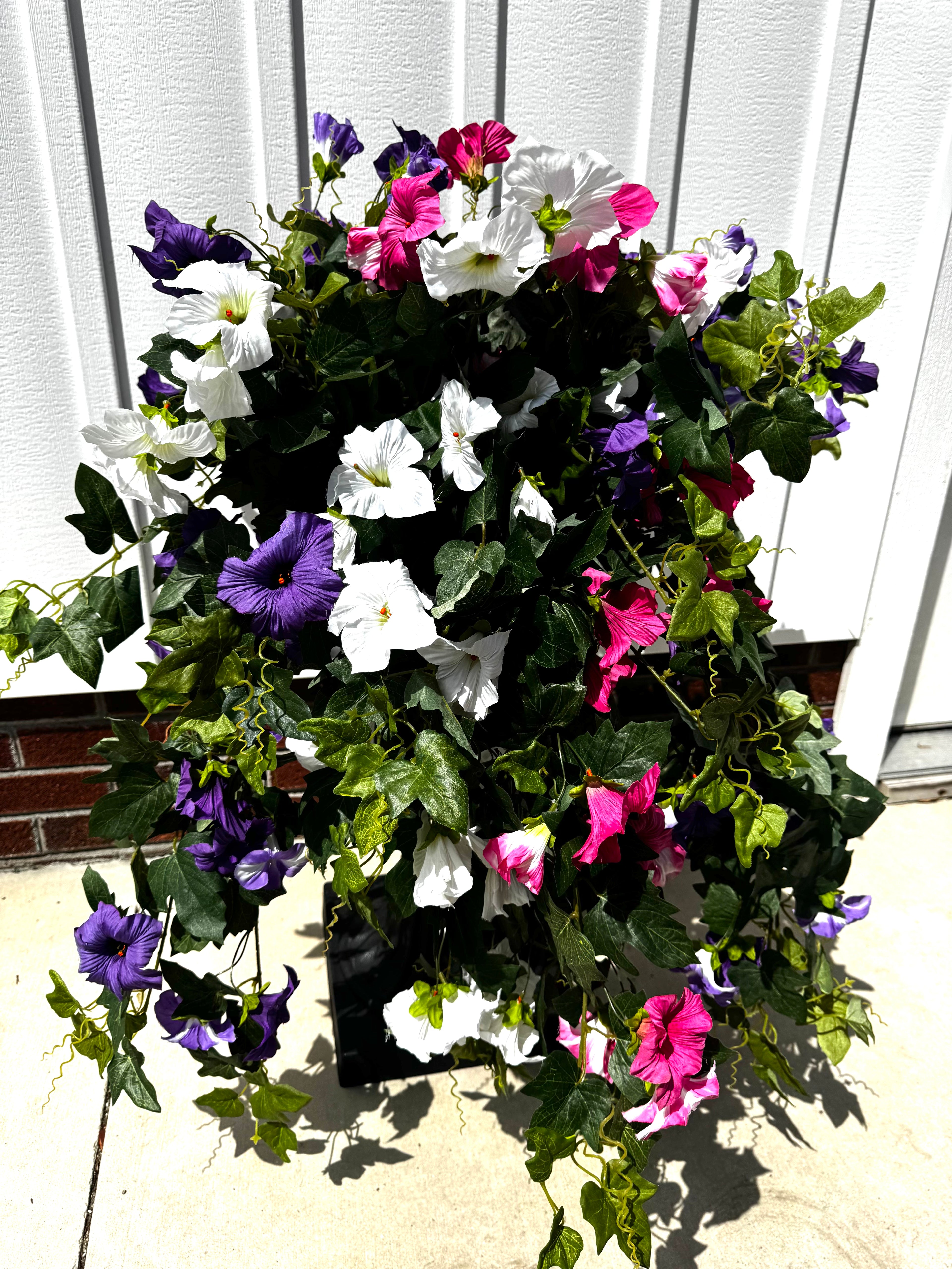 Draping White Petunia Bush
